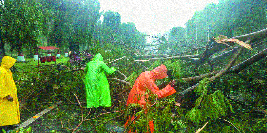 The Hitavada - Bhubaneswar loses over one mn trees in cyclone Fani