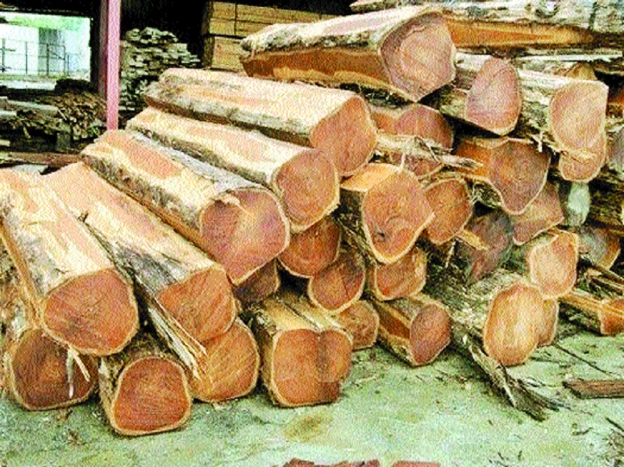 Forest Department earns Rs 386 cr revenue from timber, other auctions