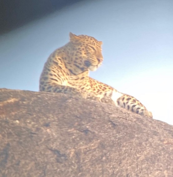 Urgent steps must for pro