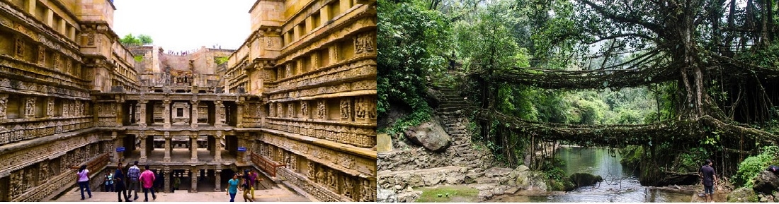Rani ki Vav living root b