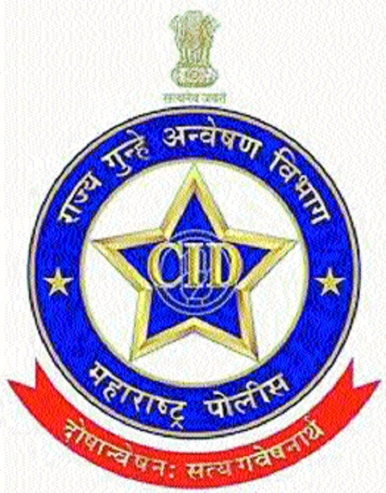 Portrait Building System 