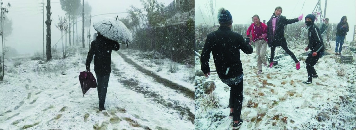 Nagaland turns into a win