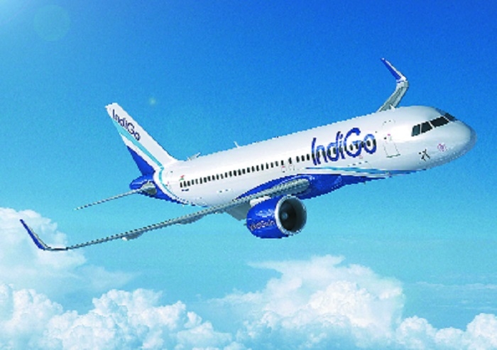 Indigo to start direct Ng