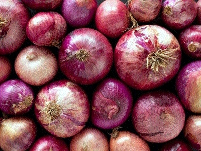 onions_1  H x W