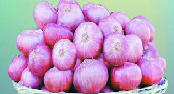 onion _1  H x W