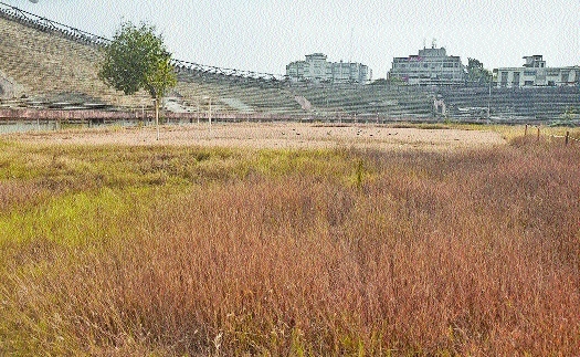 Yashwant Stadium i_1 