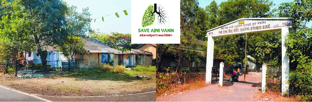 save ajni vann_1&nbsp;&nb