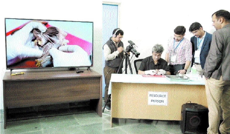 Forensic Histopathology _