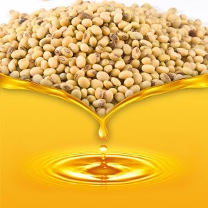 Refined soya oil futures 