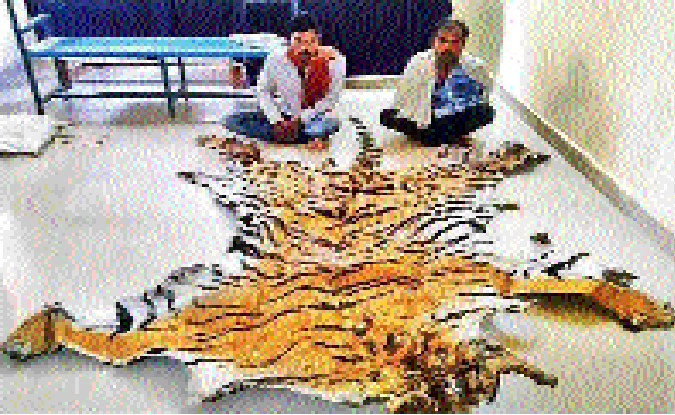 Forest Deptt unfazed even