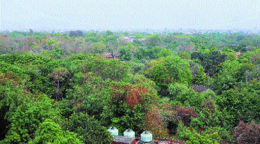 Bharat Van_1&nbsp;&nbsp;H