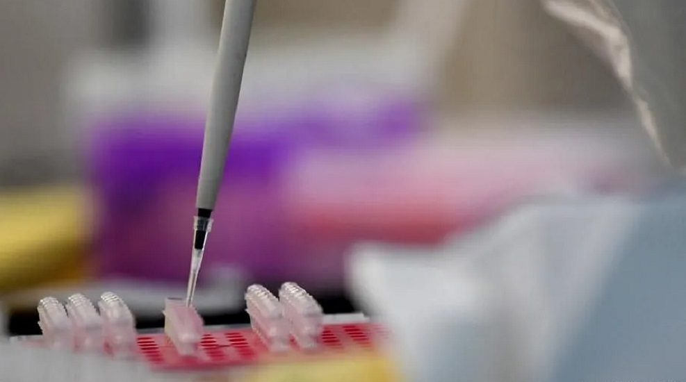 Coronavirus Cure Combination Of Two Anti Hiv Drugs Proved Crucial In Rajasthan The Hitavada This is also an incredible website that can be used in receiving text messages. the hitavada