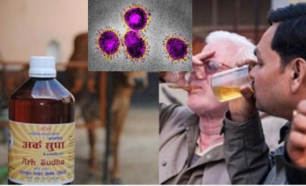 Corona Cow dung_1 &n