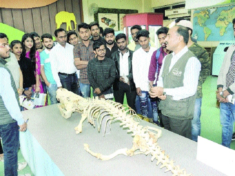 RMNH _1&nbsp;&nbsp;H x W: