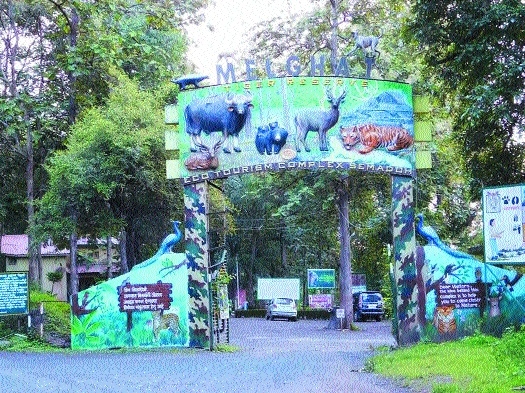 Pandharkawda Wildlife Div