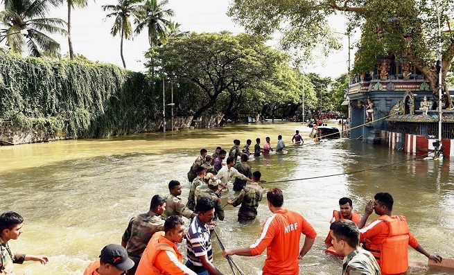 NDRF_1&nbsp;&nbsp;H x W: 