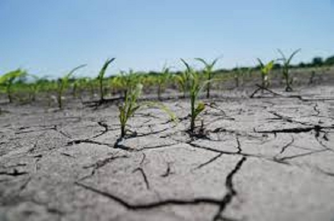 Agrarian Distress_1&nbsp;