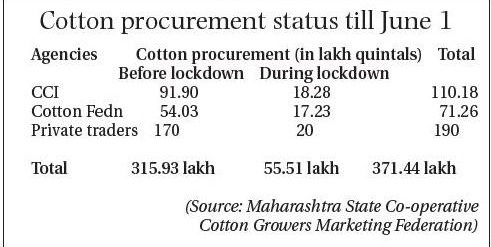 cotton chart_1&nbsp;&nbsp;
