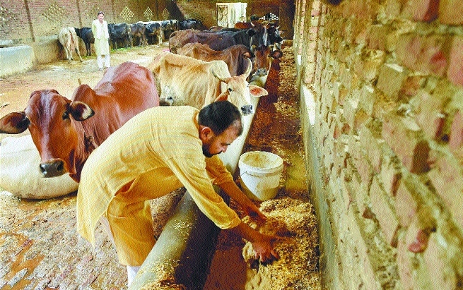 Zubaid ur Rehman_1&nbsp;&