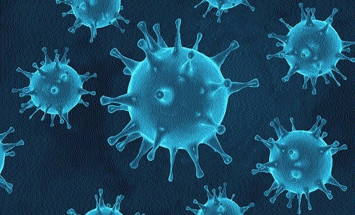 46 fresh corona cases_1&n