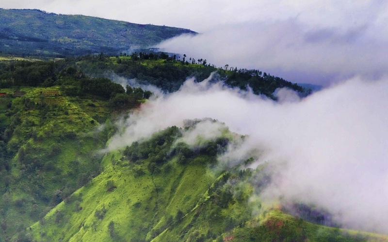 MEGHALAYA _1  H