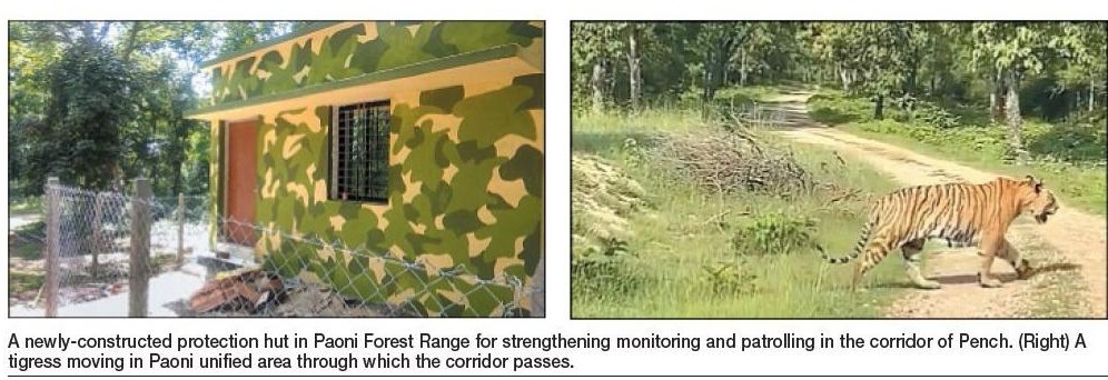 tiger protection _1&nbsp;