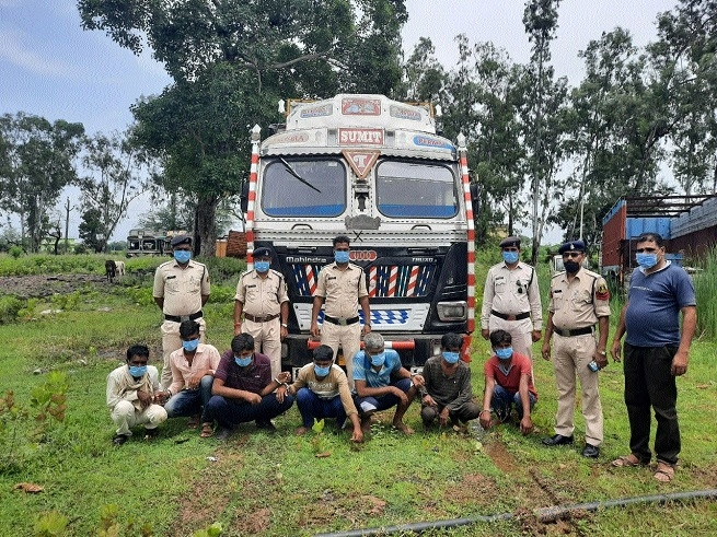 20 cattle _1&nbsp;&nbsp;H