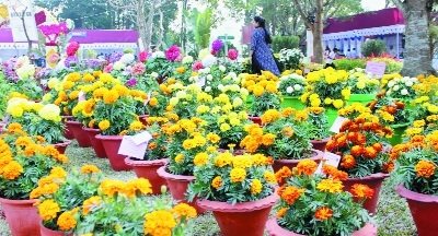 Nagpur Garden Club_1 