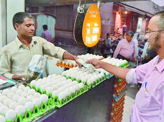 Egg prices boil _1&nbsp;&
