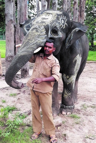 One of the elephant decorated on the festival