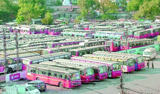 buses_1&nbsp;&nbsp;H x W: