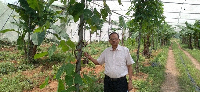 O P Agrawal_1&nbsp;&nbsp;