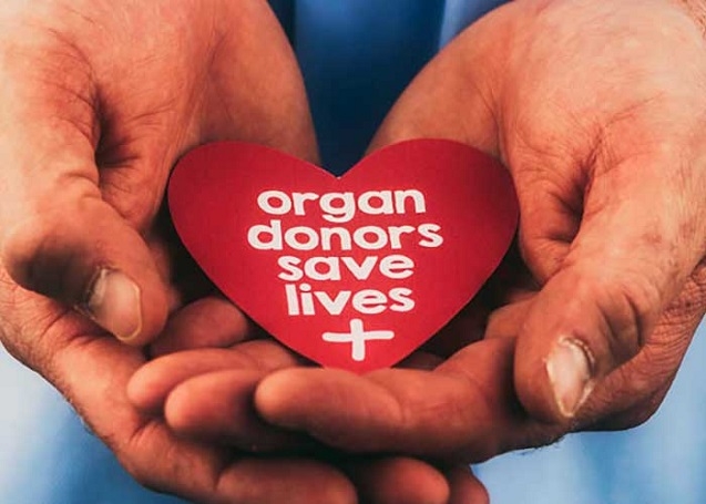 organ donor_1  