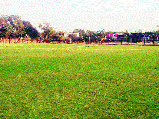 NDFA_1&nbsp;&nbsp;H x W: 