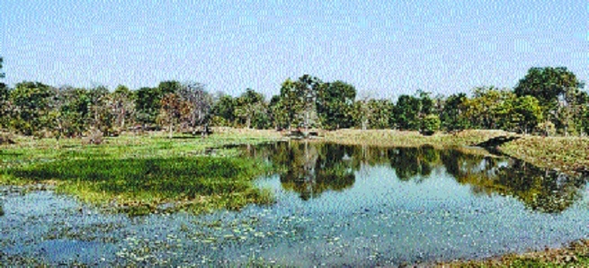 Karwa jungle safari _1&nb