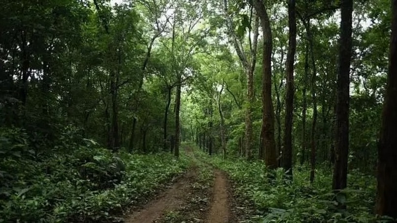 Forest Department_1 