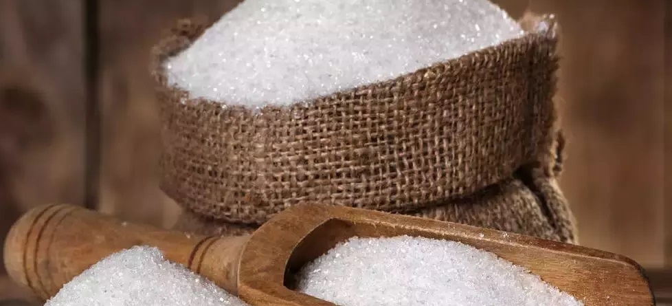 Sugar production_1 &