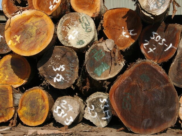 Paper industry_1&nbsp;&nb