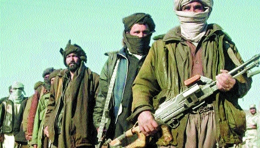 IS establishes_1 &nb