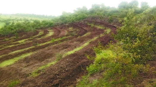 barren hill _1&nbsp;&nbsp;