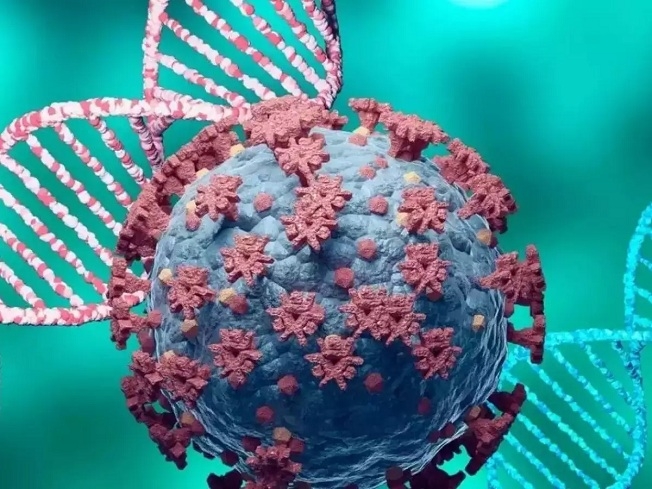 First Omicron positive ca