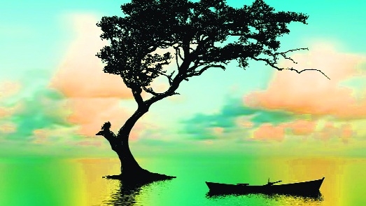 Nature_1&nbsp;&nbsp;H x W