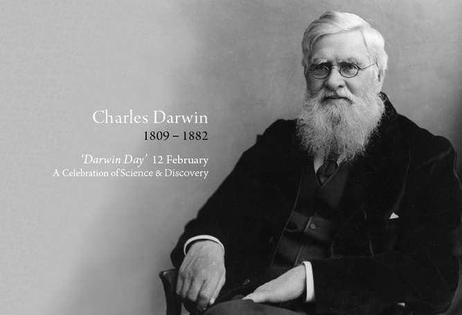 DARWIN _1&nbsp;&nbsp;H x 