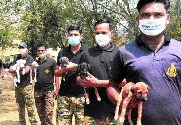 Trainers posing_1 &n