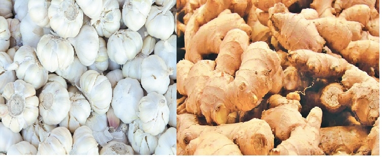 Garlic ginger prices slip
