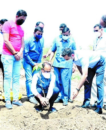 Chief Minister plants_1&n