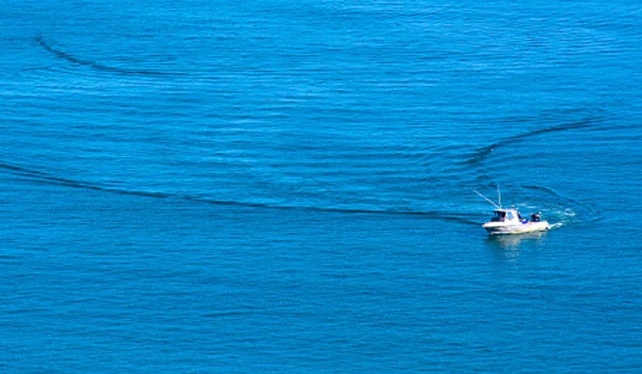 CG seizes drugs_1&nbsp;&n