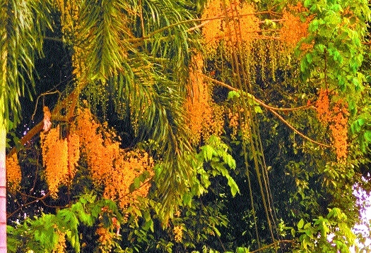  last time you noticed it