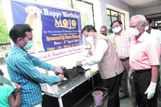 Vice Chancellor Dr Tiwari