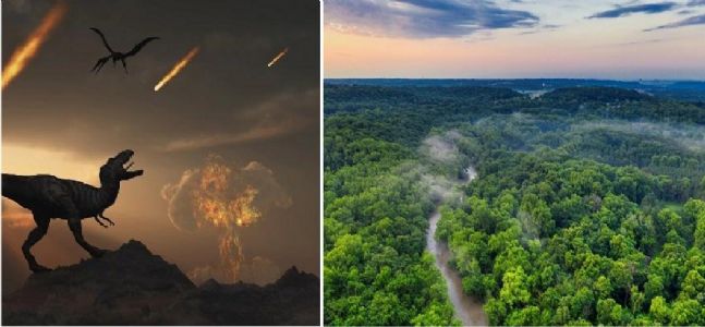 Asteroid that eliminated dinosaur gave rise to Amazon rainforest: New study